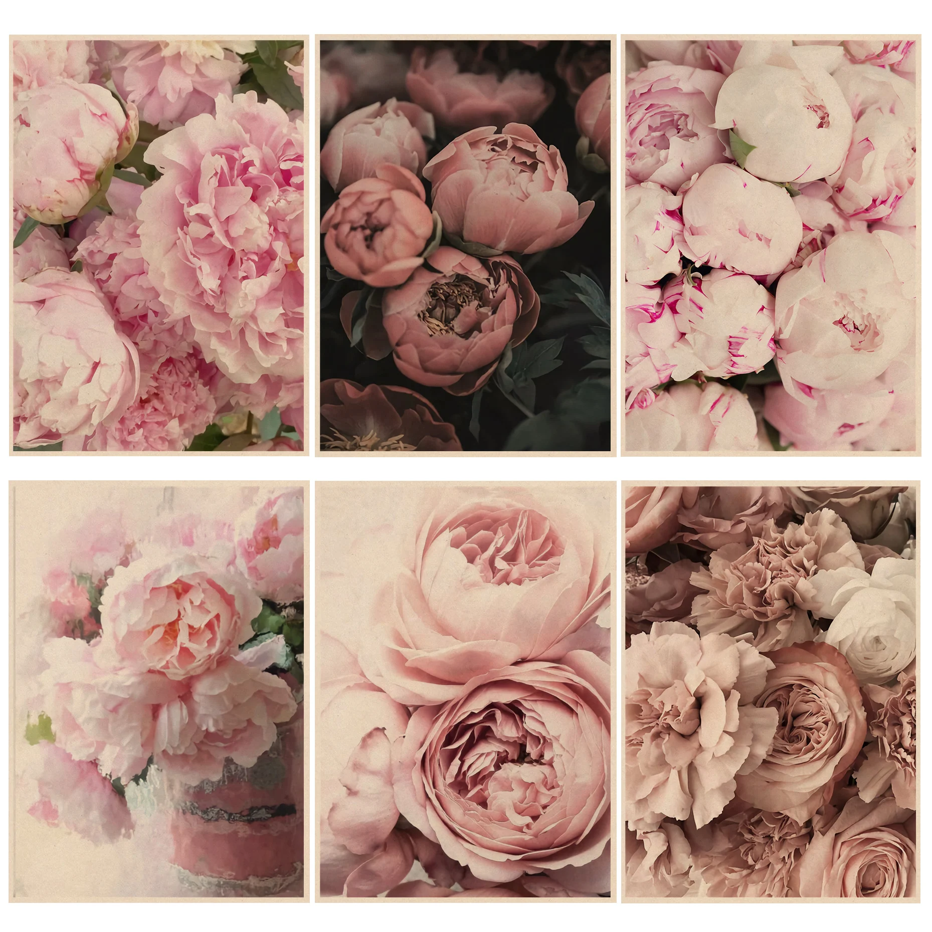 Pink Peony Flowers Retro Kraft Paper Poster Decoracion Painting Wall Art Kraft Paper Home Decor
Pink Peony Flowers Retro Kraft Paper Poster Decoracion Painting Wall Art Kraft Paper Home Decor