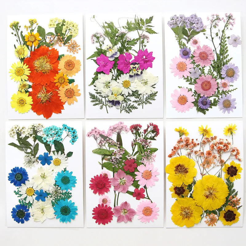 18Pcs Dried Flower Leaf Plant Specimens Scrapbook Decoration DIY Diary Collage Journal Craft Supplies Epoxy Resin Materials 
18Pcs Dried Flower Leaf Plant Specimens Scrapbook Decoration DIY Diary Collage Journal Craft Supplies Epoxy Resin Materials