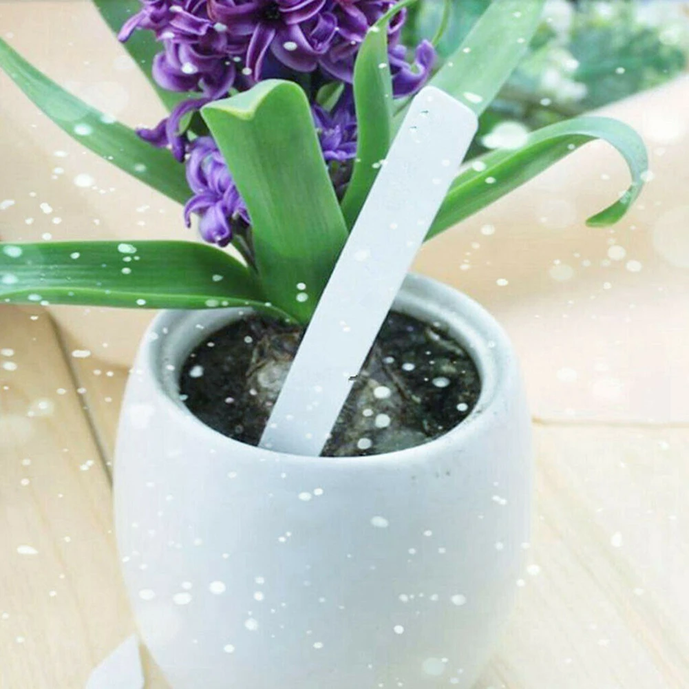 100 Plant Label Plastic Garden Labels Gardening Plant Sign Tags Plant Nursery Markers Label Tags Writing With Pencil
100 Plant Label Plastic Garden Labels Gardening Plant Sign Tags Plant Nursery Markers Label Tags Writing With Pencil