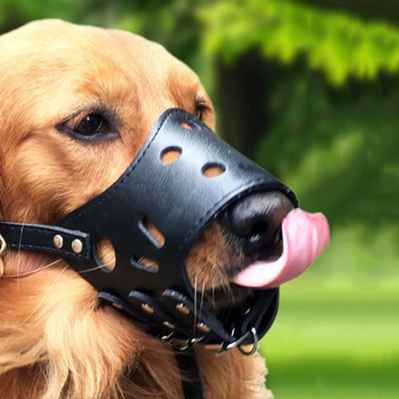 

Soft Leather Muzzle for Dogs Anti-Biting Secure Adjustable Breathable Pet Small Large Dogs Muzzle Allows Drinking Eating