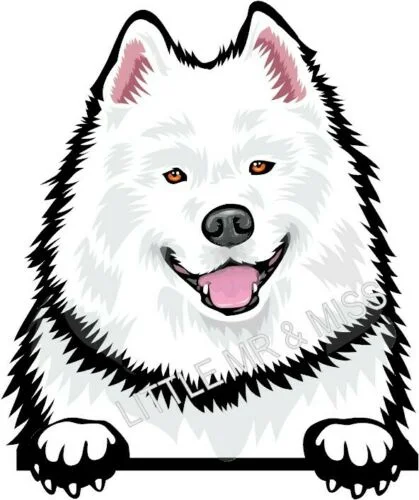 

For SAMOYED Peeking DOG Breed Color Wall Window Laptop Mug Sticker w/proof