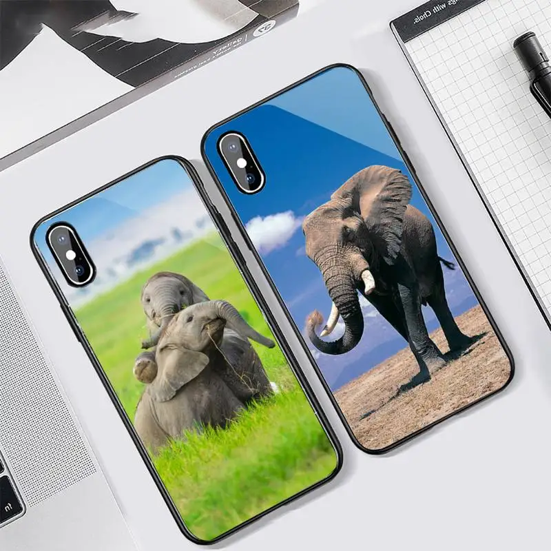 Elephant Cute animal Phone Case Tempered glass For iphone 11 12 13 PRO MAX mini 6 7 8 plus X XS XR
Elephant Cute animal Phone Case Tempered glass For iphone 11 12 13 PRO MAX mini 6 7 8 plus X XS XR