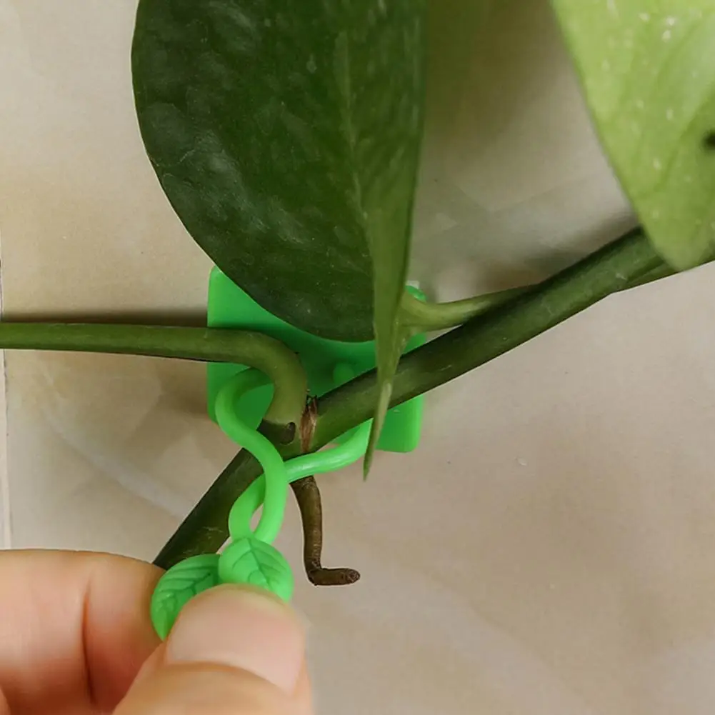 100Pcs Vine Wall Fixer Smooth Surface Plant Fixture Clamp Self-adhesive Adjustable Climbing Plant Clip
100Pcs Vine Wall Fixer Smooth Surface Plant Fixture Clamp Self-adhesive Adjustable Climbing Plant Clip