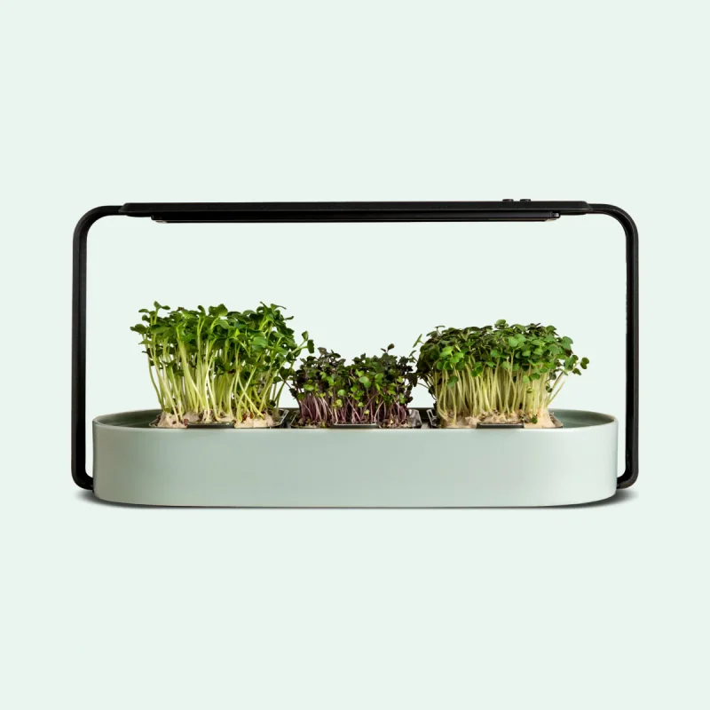 Hot selling Microgreen Grow Medium Smart Home Kits & Systems Hydroponics Indoor Planter Led Your Own Kit Garden Plant Kit
Hot selling Microgreen Grow Medium Smart Home Kits & Systems Hydroponics Indoor Planter Led Your Own Kit Garden Plant Kit