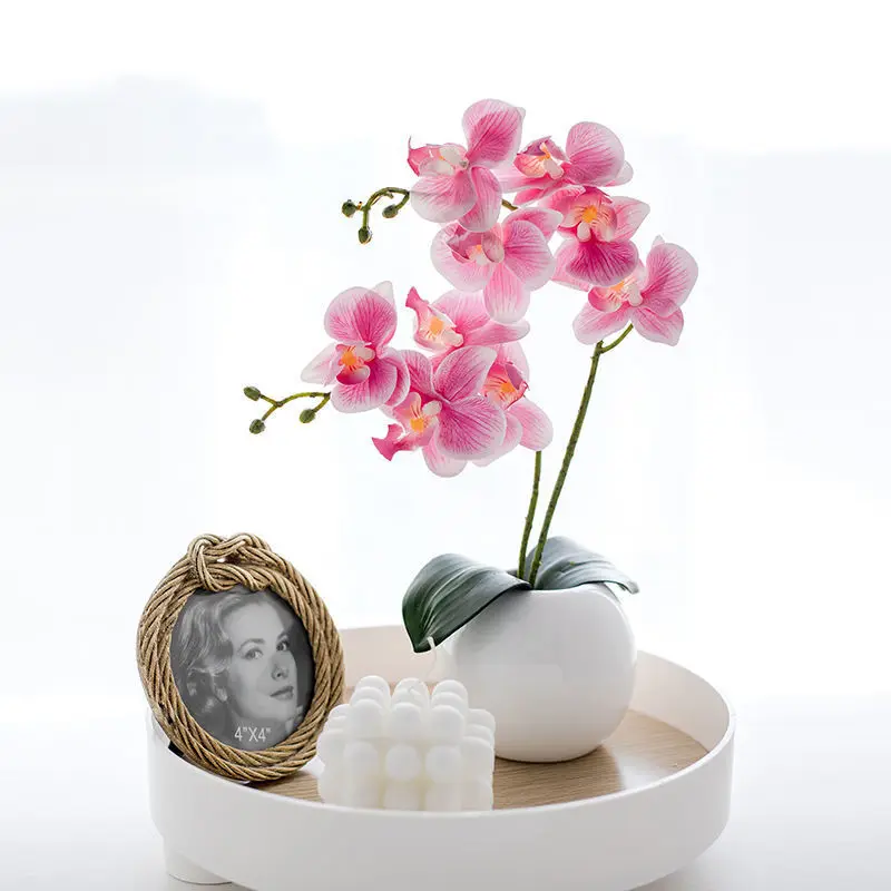 Phalaenopsis Artificial Flowers Bouquet Silk Fake Flower For Home Decor Garden Bedroom Wedding Decoration DIY Bonsai Accessories
Phalaenopsis Artificial Flowers Bouquet Silk Fake Flower For Home Decor Garden Bedroom Wedding Decoration DIY Bonsai Accessories