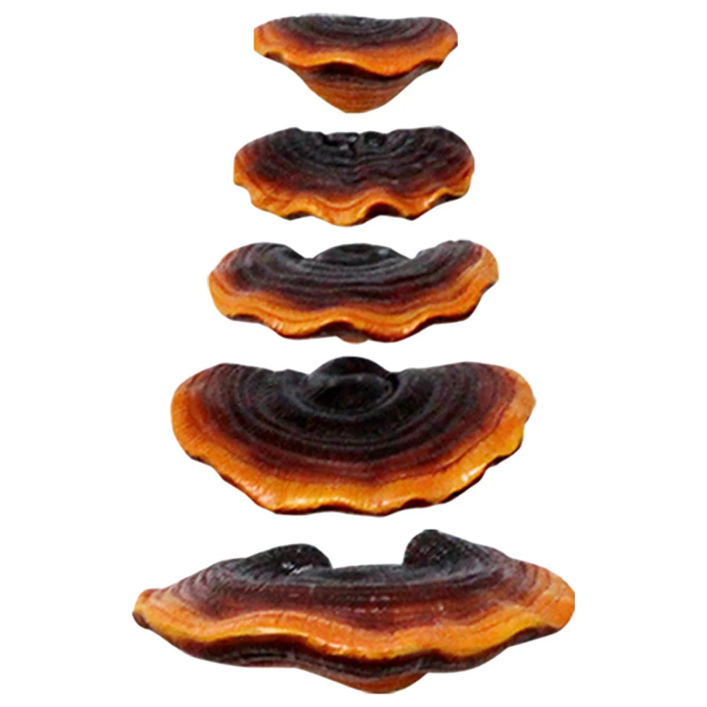 5 Pcs Ornaments Garden Decoration Micro Mushroom Statue Miniature Figurines Resin Bonsai
5 Pcs Ornaments Garden Decoration Micro Mushroom Statue Miniature Figurines Resin Bonsai