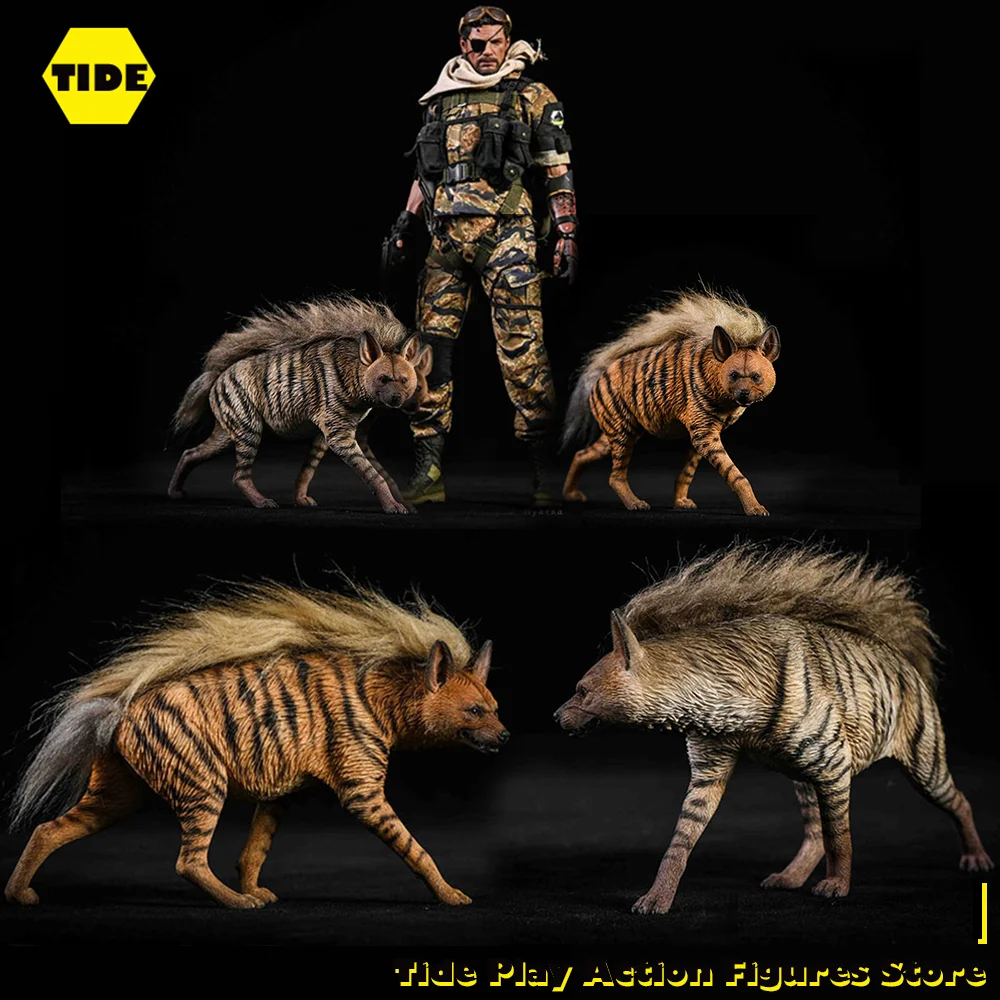 JxK Studio JXK051 1/6 African Striped Hyena Resin Wild Animal Model Animal Scene Statue Accessories for 12" Action Figure
JxK Studio JXK051 1/6 African Striped Hyena Resin Wild Animal Model Animal Scene Statue Accessories for 12" Action Figure