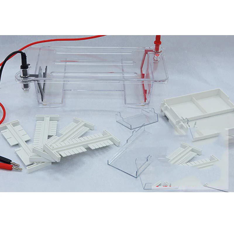 DYCP-31DN Agarose Level Electrophoresis Instrument Injection Nucleic Acid Electrophoresis Laboratory Electrophoresis Tank
DYCP-31DN Agarose Level Electrophoresis Instrument Injection Nucleic Acid Electrophoresis Laboratory Electrophoresis Tank