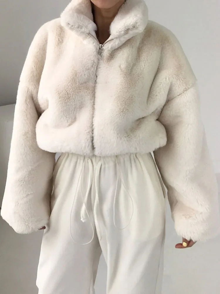 Women Autumn Winter Coats Korean Vintage Stand Collar Plush Cotton Clip Warm Loose Long Sleeve Fur Temperament Short Coat D2262
Women Autumn Winter Coats Korean Vintage Stand Collar Plush Cotton Clip Warm Loose Long Sleeve Fur Temperament Short Coat D2262