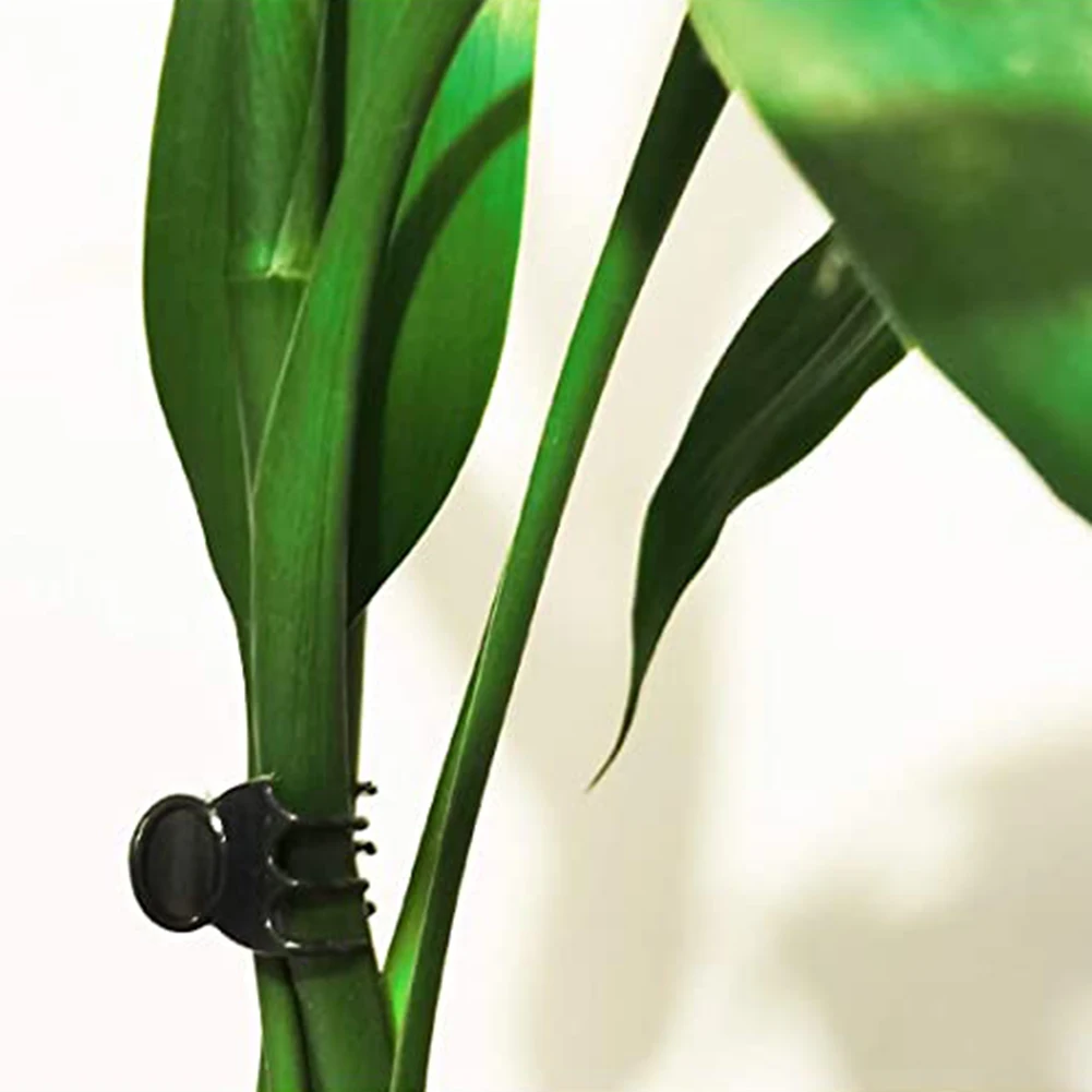 Orchid Clip Plant Support Clips Garden 20Pcs Gardening Phalaenopsis Orchid Plant Support Plastic Vegetables Flower Tied Clamp
Orchid Clip Plant Support Clips Garden 20Pcs Gardening Phalaenopsis Orchid Plant Support Plastic Vegetables Flower Tied Clamp