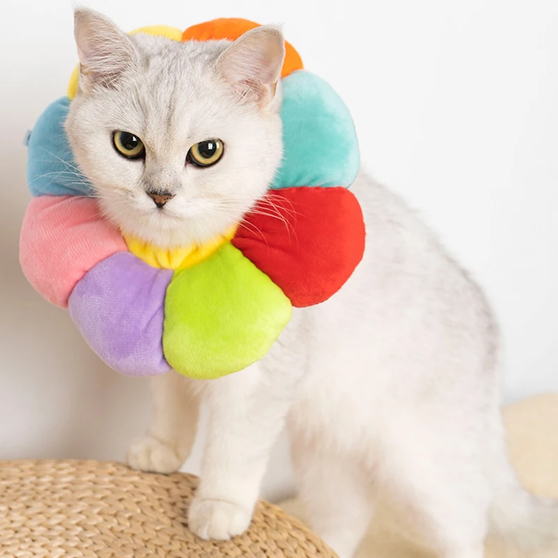 Cat Collar Pet Protective Collars for Dogs Cats Wound Healing Protection Elizabethan Collar Pet Cat Anti-bite Recovery Circle
Cat Collar Pet Protective Collars for Dogs Cats Wound Healing Protection Elizabethan Collar Pet Cat Anti-bite Recovery Circle