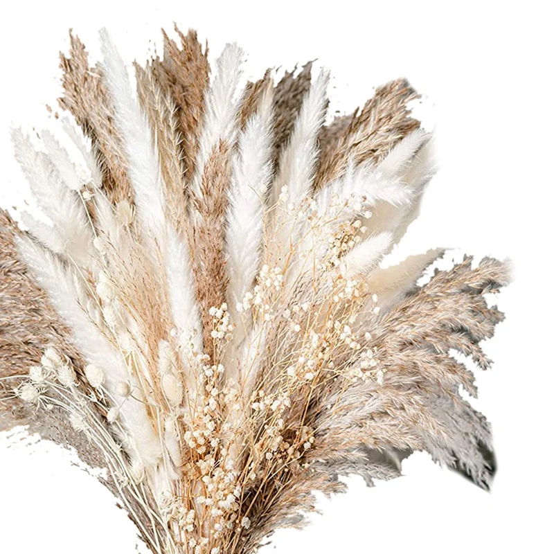 100PCS Bouquet Natural Dried Pampas Grass Bouquet Dried Flower Boho Home Decor Bouquet For Wedding Floral
100PCS Bouquet Natural Dried Pampas Grass Bouquet Dried Flower Boho Home Decor Bouquet For Wedding Floral