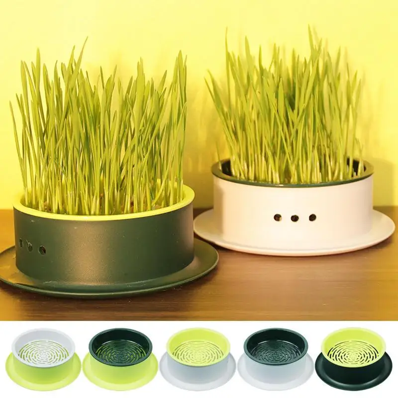 Catnip Grow Kit Seed Sprout Nursery Tray Wheat Grass Catnip Cultivation Box Pet Cat Grass Growing Container With Lid Grow Box
Catnip Grow Kit Seed Sprout Nursery Tray Wheat Grass Catnip Cultivation Box Pet Cat Grass Growing Container With Lid Grow Box