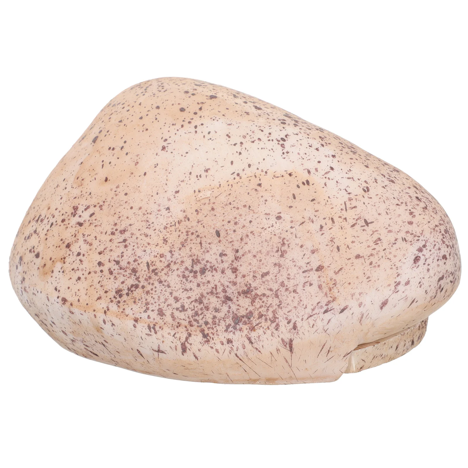 Hide A Spare Key Fake Rock Weatherproof Safe Storage Box Safe Looks Feels Like Real Stone Rock Key Holder Hidden Key Saving
Hide A Spare Key Fake Rock Weatherproof Safe Storage Box Safe Looks Feels Like Real Stone Rock Key Holder Hidden Key Saving