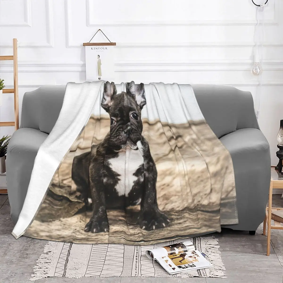 French Bulldog Puppy Dog Blankets Coral Fleece Summer Dog Cute Animal Friend Lightweight Throw Blanket for Bed Office Bedspreads 
French Bulldog Puppy Dog Blankets Coral Fleece Summer Dog Cute Animal Friend Lightweight Throw Blanket for Bed Office Bedspreads
