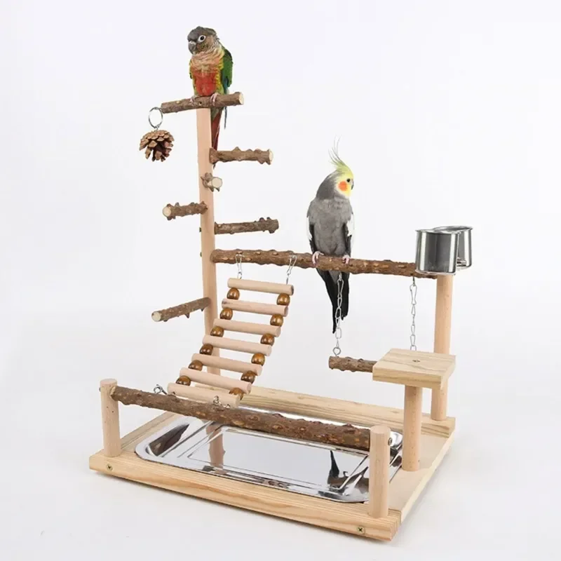 Perch Perch Parrot Swing Beads Stand Cage Toy Toy Hotsale Chewing Bird Wooden Playstand Playground Bird Swing Wooden With Parrot
Perch Perch Parrot Swing Beads Stand Cage Toy Toy Hotsale Chewing Bird Wooden Playstand Playground Bird Swing Wooden With Parrot