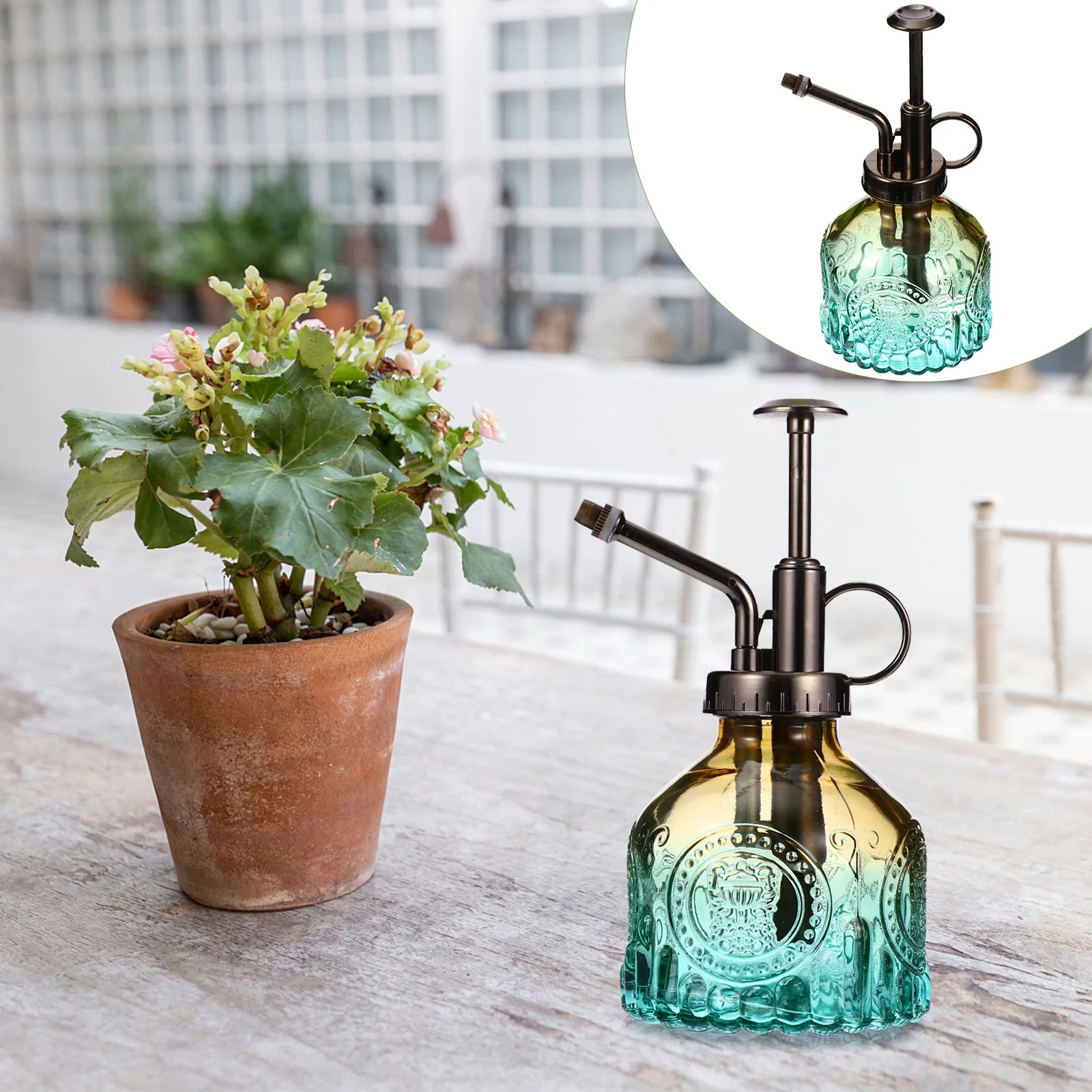 Стеклянная банка для полива цветов, декоративная бутылка, поливальная кастрюля, спрей старого образа
Стеклянная банка для полива цветов, декоративная бутылка, поливальная кастрюля, спрей старого образа