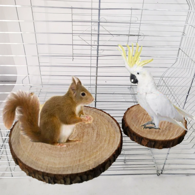 1PC Round Wooden Squirrel Parrot Bird Perch Stand Platform Pet Bird Squirrel Chinchilla Parrot Wooden Platform Pet Supplies Toys
1PC Round Wooden Squirrel Parrot Bird Perch Stand Platform Pet Bird Squirrel Chinchilla Parrot Wooden Platform Pet Supplies Toys