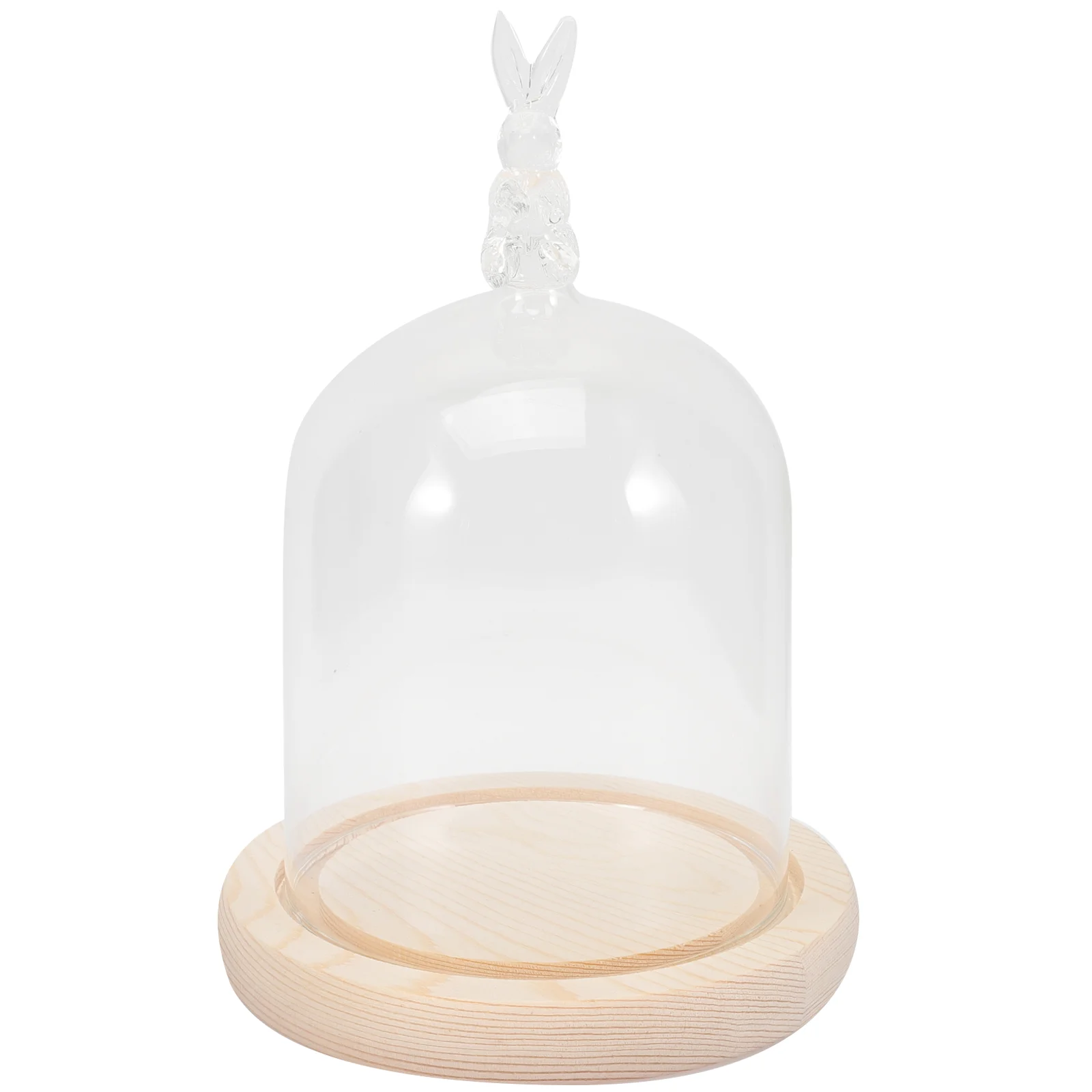 Dome Cloche Cake Display Cover Plate Serving Bell Cupcake Jar Cheese Stand Accessories Dessert Snow Bunny Globes Tiny Diy Cup
Dome Cloche Cake Display Cover Plate Serving Bell Cupcake Jar Cheese Stand Accessories Dessert Snow Bunny Globes Tiny Diy Cup