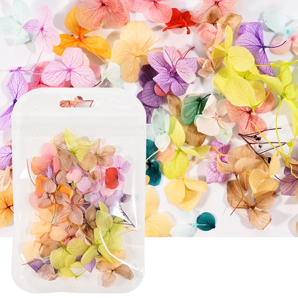 50 шт. сухие цветы 3D градиентные для ногтей HotPress
50 шт. сухие цветы 3D градиентные для ногтей HotPress