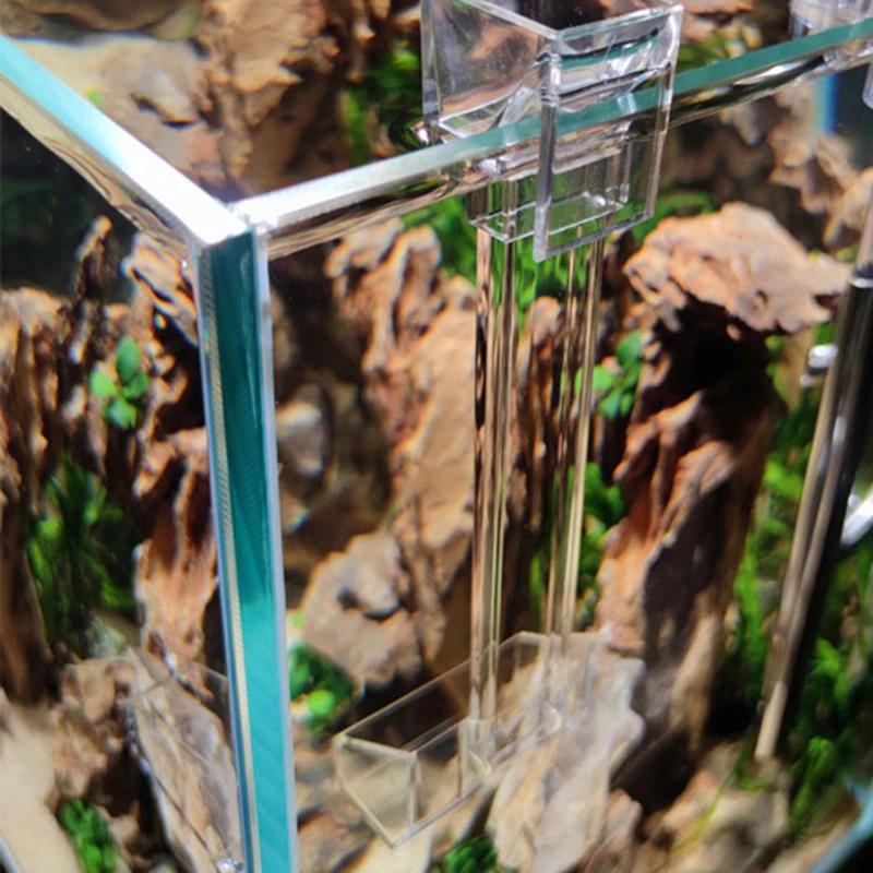 2022 New Acrylic Fish Tank Shrimp Feeder Feeding Tube Dish Cup Fish Food Dish for Aquarium Fish Tank
2022 New Acrylic Fish Tank Shrimp Feeder Feeding Tube Dish Cup Fish Food Dish for Aquarium Fish Tank