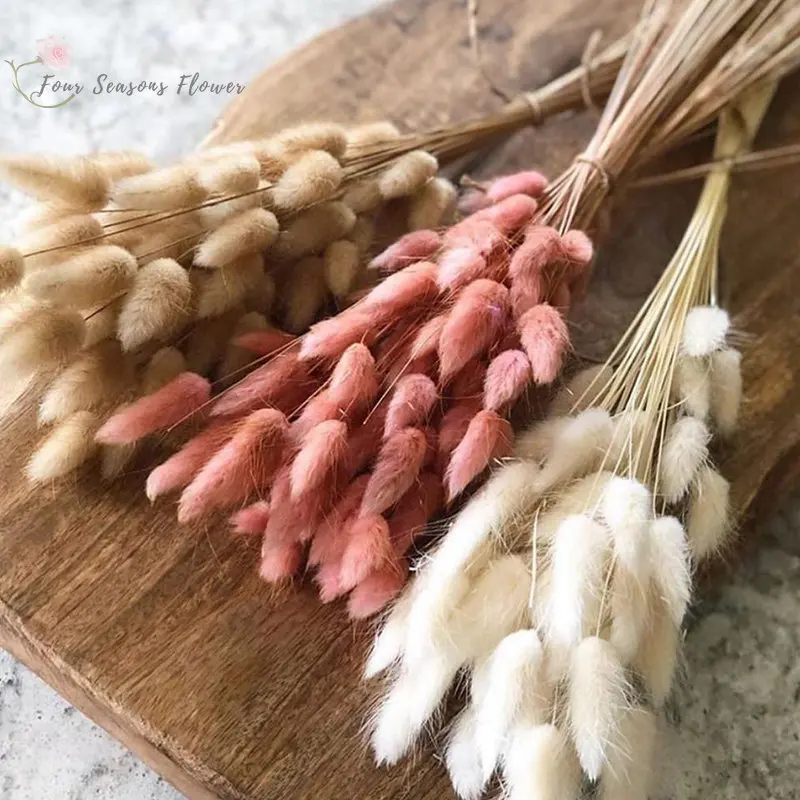 40pcs Bunny Tails Dried Natural Rabbit Flowers Bouquets For Nordic Home Decor Floral Accessories Wedding Home Decoration
40pcs Bunny Tails Dried Natural Rabbit Flowers Bouquets For Nordic Home Decor Floral Accessories Wedding Home Decoration
