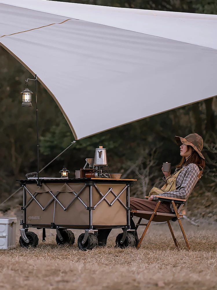 Wagon Utility Outdoor Camping Beach Cart Removable Canopy Universal Wide Wheels Adjustable Handle for Sports Outdoor Camping
Wagon Utility Outdoor Camping Beach Cart Removable Canopy Universal Wide Wheels Adjustable Handle for Sports Outdoor Camping