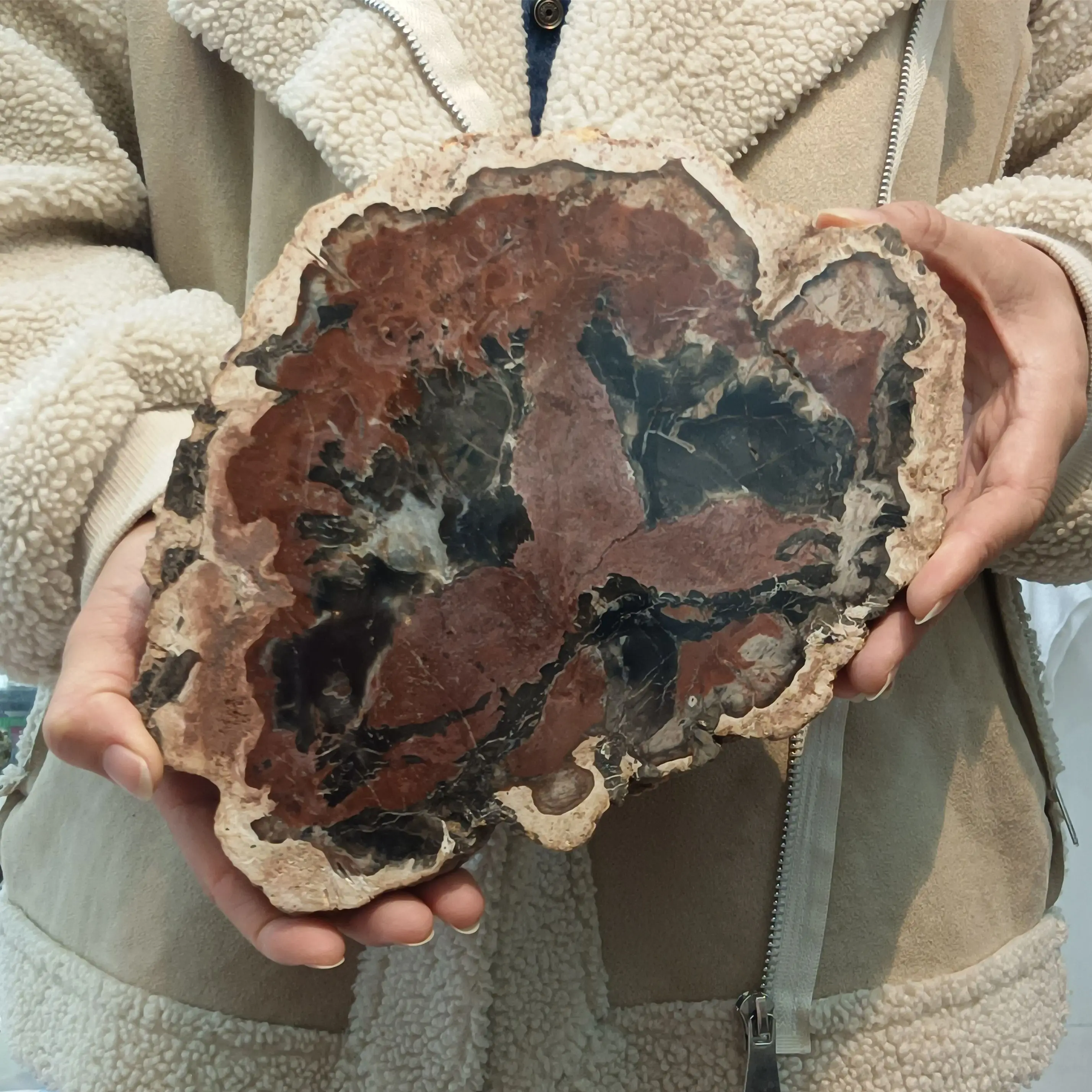 Natural Trees Ore Slice Hand-Polished Energy Home Office Decoration Gifts Mineral Reiki Feng Shui Ornaments 
Natural Trees Ore Slice Hand-Polished Energy Home Office Decoration Gifts Mineral Reiki Feng Shui Ornaments