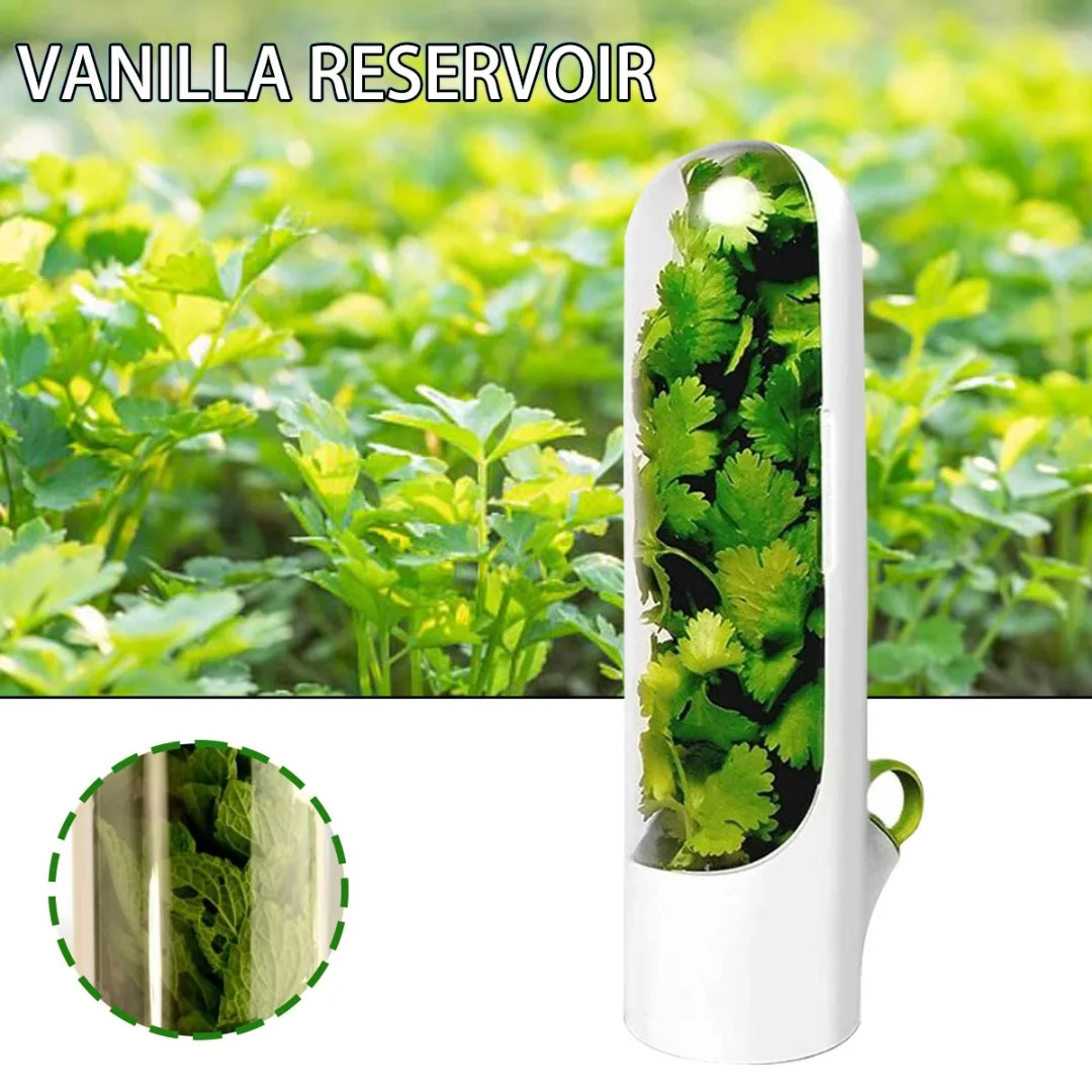 Transparent Kitchen Storage Cup Herb Savor Refrigerator Vegetable Preservation Bottle Premium Fresh Herb Fresh-keeping Cup 
Transparent Kitchen Storage Cup Herb Savor Refrigerator Vegetable Preservation Bottle Premium Fresh Herb Fresh-keeping Cup