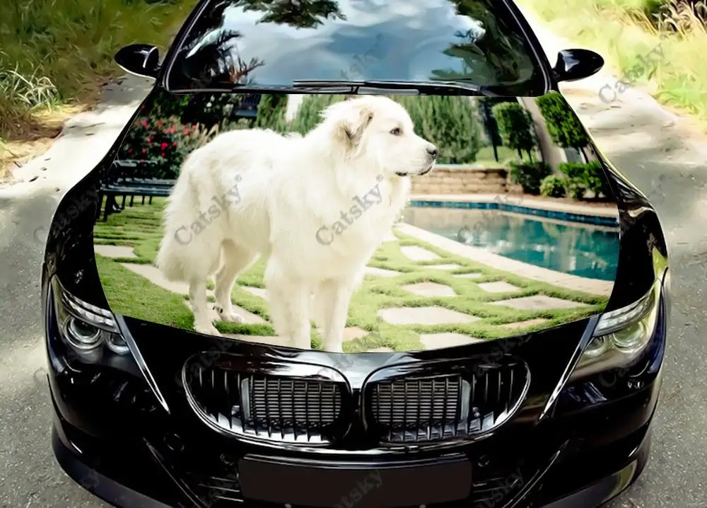 Виниловые наклейки на капот автомобиля с Пиренеями и собаками, ПВХ пленка, Наклейки на капот, наклейки, модифицированные защитные наклейки на капот автомобиля
Виниловые наклейки на капот автомобиля с Пиренеями и собаками, ПВХ пленка, Наклейки на капот, наклейки, модифицированные защитные наклейки на капот автомобиля