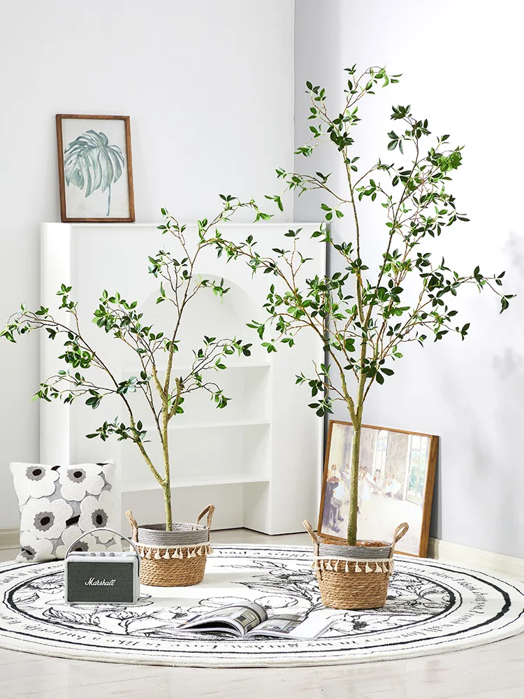 Artificial Green Plant Bionic Fake Potted Decorative Fake Tree Simulation Tree Horse Drunk Wood Simulation Hanging Clock Plant
Artificial Green Plant Bionic Fake Potted Decorative Fake Tree Simulation Tree Horse Drunk Wood Simulation Hanging Clock Plant