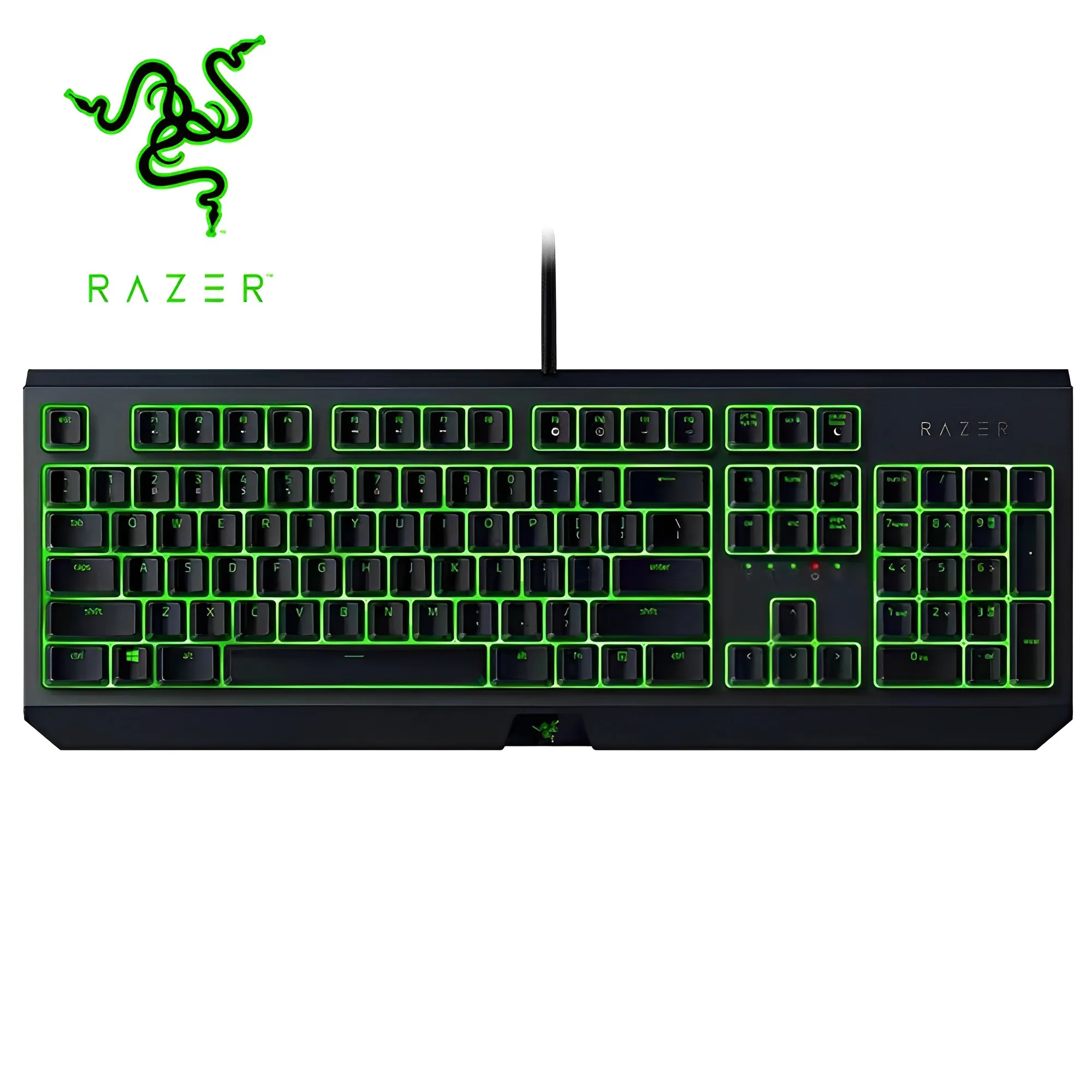 Razer BlackWidow Essential Mechanical Game Keyboard Green Mechanical Switches Tactile Clicky Green LED Backlit Laptop Keyboard
Razer BlackWidow Essential Mechanical Game Keyboard Green Mechanical Switches Tactile Clicky Green LED Backlit Laptop Keyboard