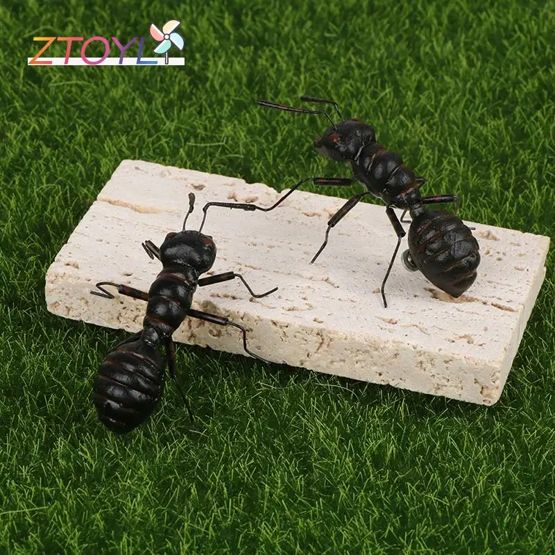 2Pcs Simulation Ants Toys Special Lifelike Model Simulation Insect Toy Nursery Teaching Aids Garden Decoration
2Pcs Simulation Ants Toys Special Lifelike Model Simulation Insect Toy Nursery Teaching Aids Garden Decoration