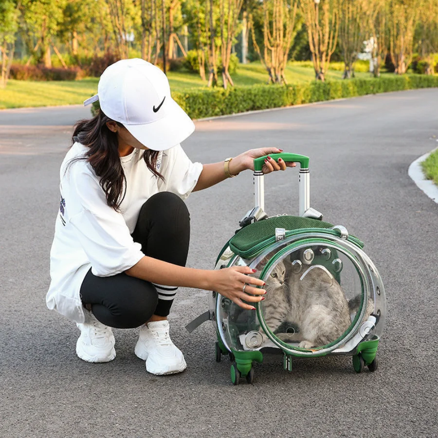 Travel Cats Backpack Outdoor Wheels Large Space Portable Cat Carry Bag Transparent Breathable Outgoing Mochila Gato Pet Supplies
Travel Cats Backpack Outdoor Wheels Large Space Portable Cat Carry Bag Transparent Breathable Outgoing Mochila Gato Pet Supplies