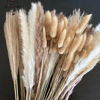 100Pcs Fluffy Pampas Dried Flowers Bouquet Home Decor Natural Bunny Rabbit Tail Grass Artifical Flower Wedding Party Decoration