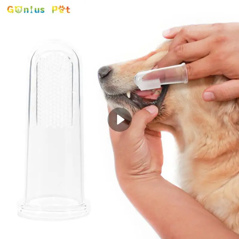 Dog Toys Pet Super Soft Pet Finger Toothbrush Clean Teeth Dental Care Puppy Kitten Brush Pet Supplies Silica Gel Protect Teeth
Dog Toys Pet Super Soft Pet Finger Toothbrush Clean Teeth Dental Care Puppy Kitten Brush Pet Supplies Silica Gel Protect Teeth