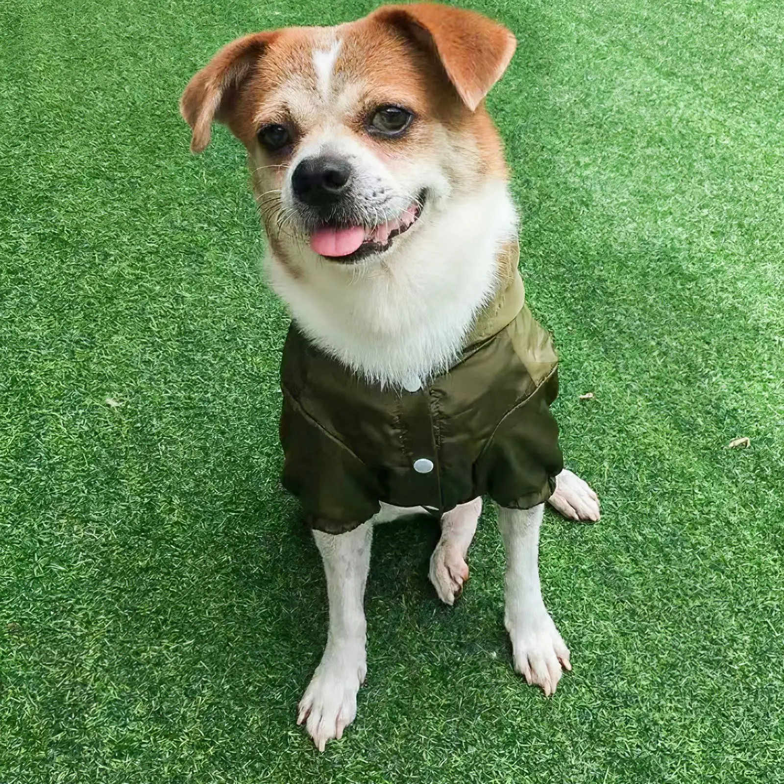 Pet Dog Waterproof Raincoat Jumpsuit Reflective Rain Coat Hooded Waterproof Jackets Small Dog Outdoor Clothes Pet Supplies
Pet Dog Waterproof Raincoat Jumpsuit Reflective Rain Coat Hooded Waterproof Jackets Small Dog Outdoor Clothes Pet Supplies