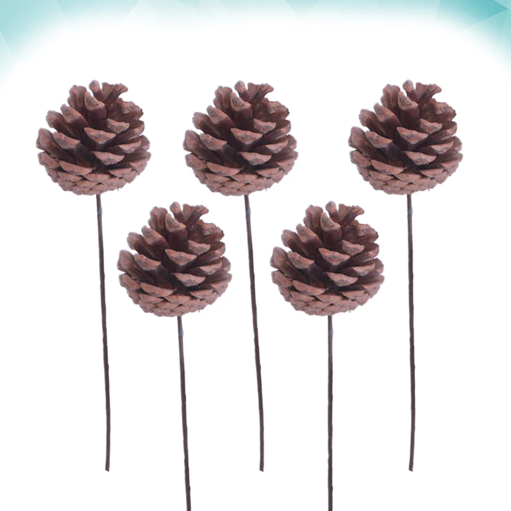 5 Pcs Dining Table Decor Dried Flower Natural Pine Cone DIY Crafting Accessories Floral Pinecone
5 Pcs Dining Table Decor Dried Flower Natural Pine Cone DIY Crafting Accessories Floral Pinecone