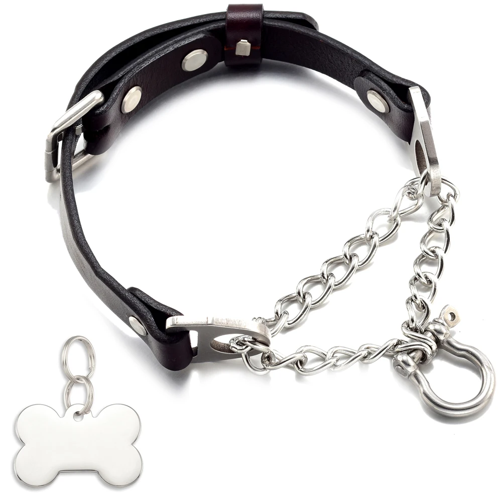 Leather Collar for Small Medium Large Dogs Stainless Steel Chain with Secure Buckle Silver Chain Pinch Collar with Dog
Leather Collar for Small Medium Large Dogs Stainless Steel Chain with Secure Buckle Silver Chain Pinch Collar with Dog