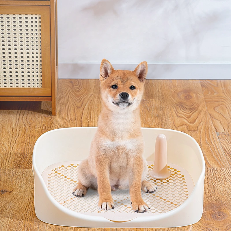 Аксессуары для сбора уборки за собакой, устройство для дрессировки, пластиковый Туалет для собак, товары для домашних животных WZ50DT
Аксессуары для сбора уборки за собакой, устройство для дрессировки, пластиковый Туалет для собак, товары для домашних животных WZ50DT
