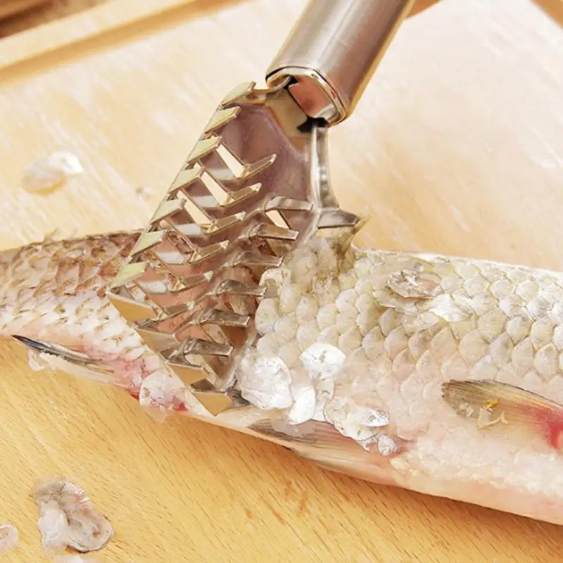 Fish scale remover Stainless Steel Fish Scale Remover Cleaner Scraper Kitchen Peeler Tool
Fish scale remover Stainless Steel Fish Scale Remover Cleaner Scraper Kitchen Peeler Tool