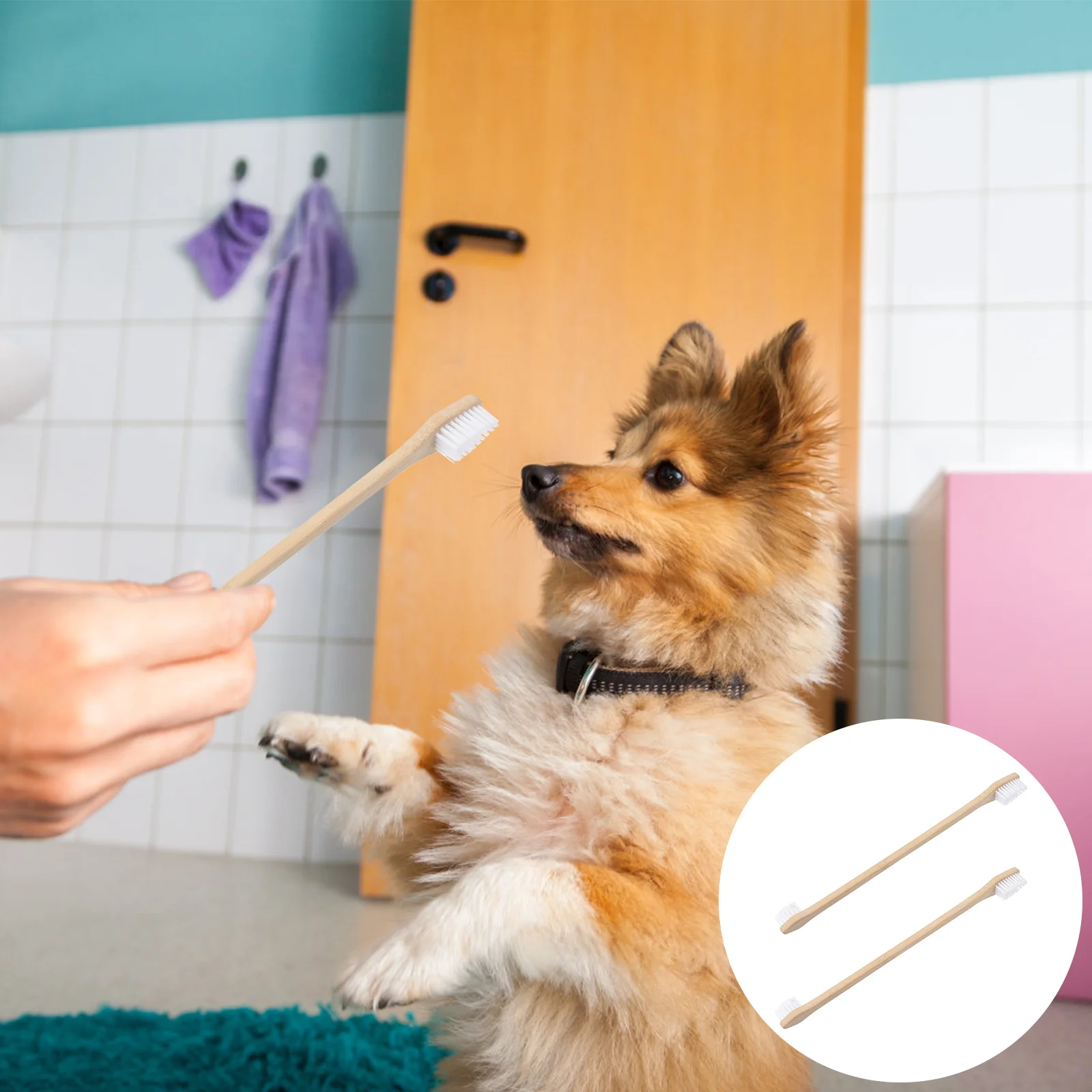 Pet Dog Toothbrushes Cat Finger Brush Oral Toothpaste Wood Natural Manual Handle Pets Supplies Cleaning Double Brushes Tools End
Pet Dog Toothbrushes Cat Finger Brush Oral Toothpaste Wood Natural Manual Handle Pets Supplies Cleaning Double Brushes Tools End