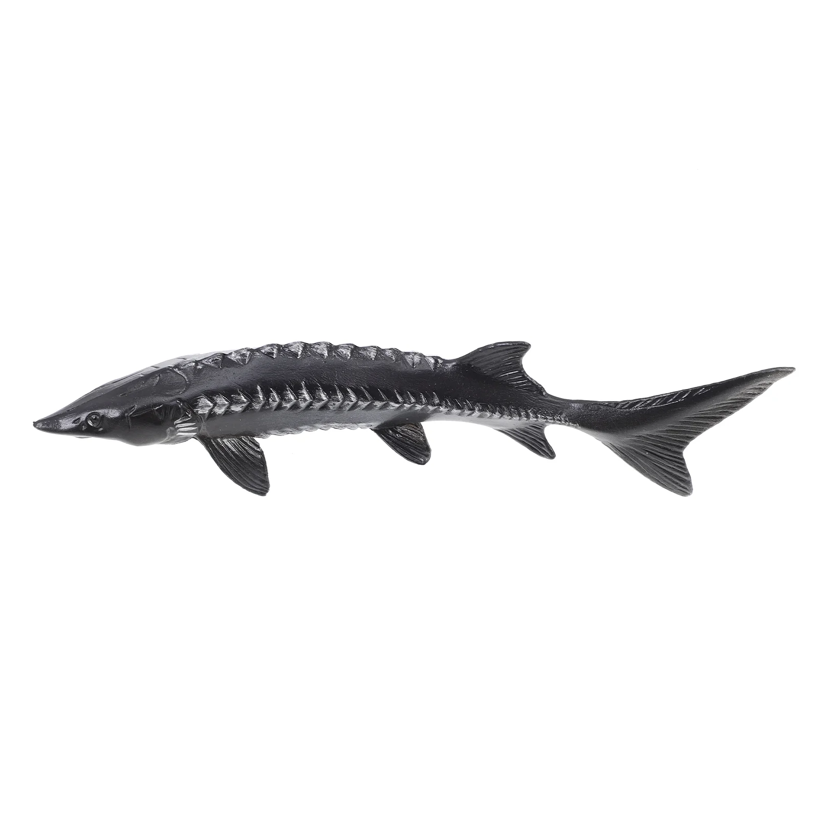 Fake Fish Props Lifelike Fish Bath Toy Kids Fish Toy Sea Fish Toys Educational Toys Kids Bath Sets Kids Sea Decor
Fake Fish Props Lifelike Fish Bath Toy Kids Fish Toy Sea Fish Toys Educational Toys Kids Bath Sets Kids Sea Decor