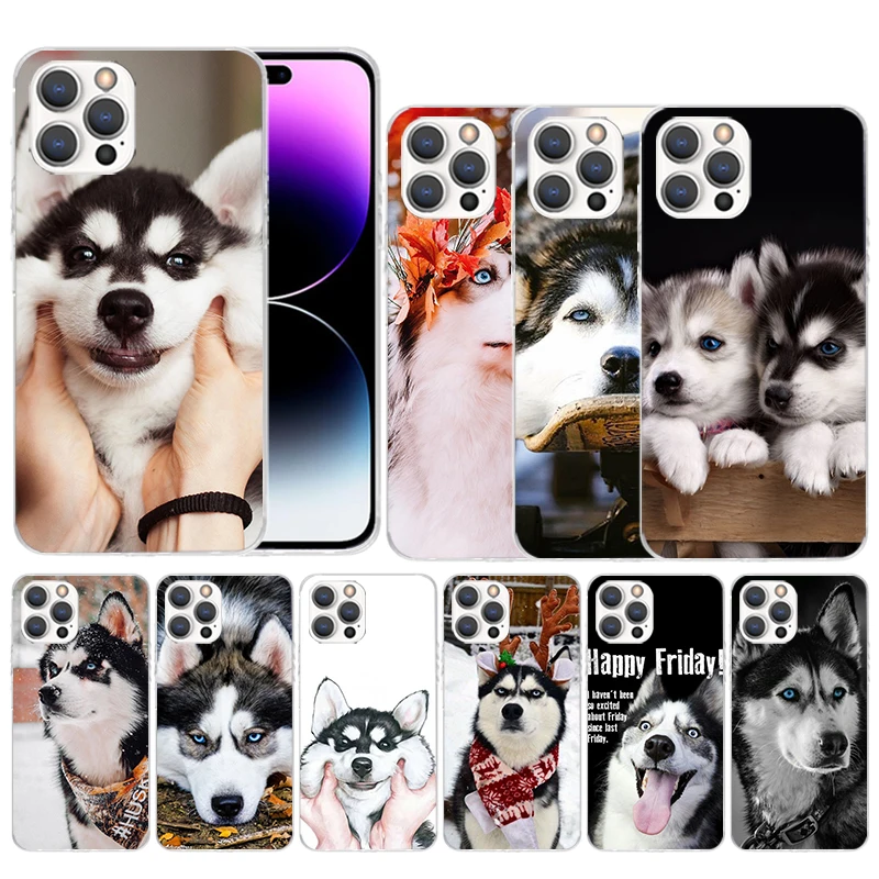 Siberian Husky Dog Soft Cover for iPhone 14 13 12 Mini 11 Pro Max Print Phone Case X XS XR 7 Plus 8 + 6 6S 5 SE Pattern Coque
Siberian Husky Dog Soft Cover for iPhone 14 13 12 Mini 11 Pro Max Print Phone Case X XS XR 7 Plus 8 + 6 6S 5 SE Pattern Coque