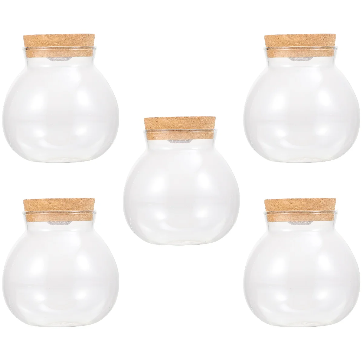 5pcs Clear Ornaments Decorative Glass Vase Micro Landscape DIY Bottle
5pcs Clear Ornaments Decorative Glass Vase Micro Landscape DIY Bottle
