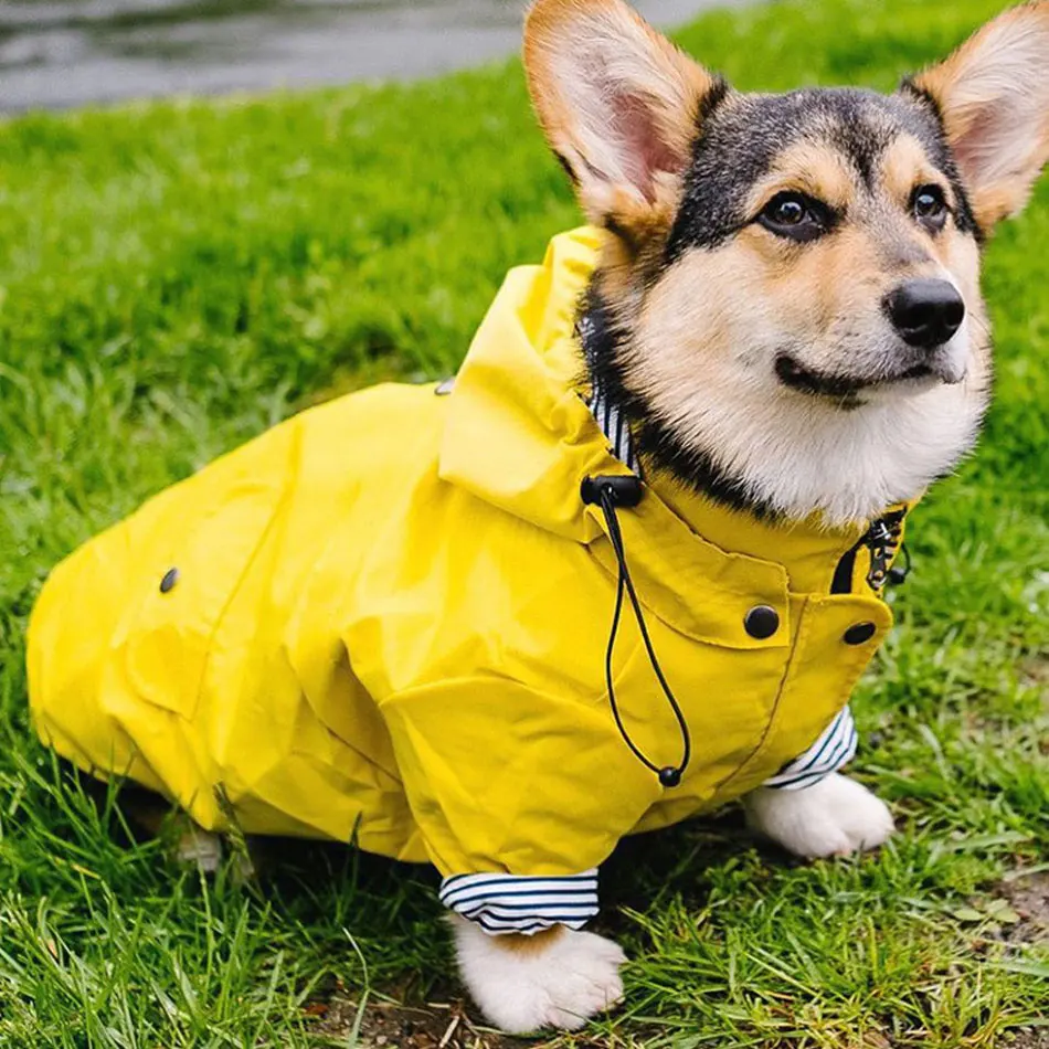 Dog Raincoat Waterproof Padded Pet Coat Clothes For Small Medium Large Big Dog Jacket Rain Coat Clothing Dog Overall Outfit Suit
Dog Raincoat Waterproof Padded Pet Coat Clothes For Small Medium Large Big Dog Jacket Rain Coat Clothing Dog Overall Outfit Suit
