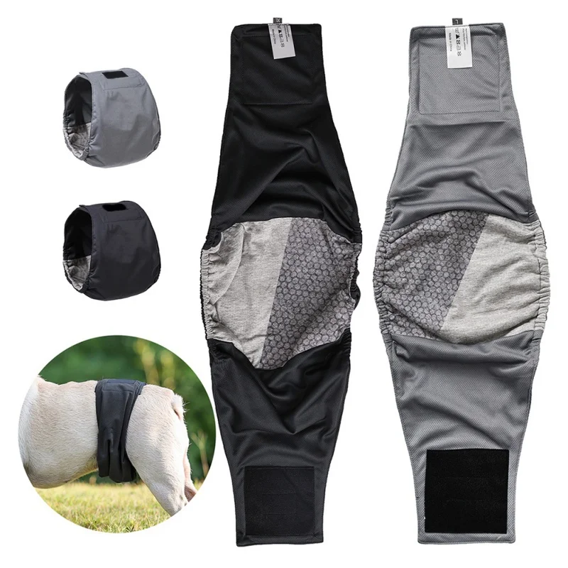 Dog Physiological Pants Diaper Waterproof Sanitary Washable Female Dog Panties Shorts Underwear Briefs Large Dogs Belt XS-2XL
Dog Physiological Pants Diaper Waterproof Sanitary Washable Female Dog Panties Shorts Underwear Briefs Large Dogs Belt XS-2XL