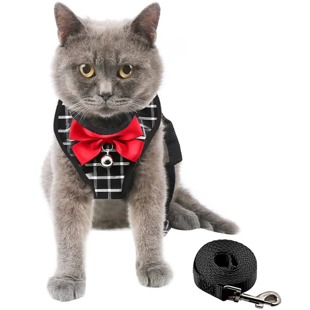 Cat Harness And Leash Set Adjustable Escape Proof Soft Lightweight For Walking 5 Size Easy To Wear Chest Strap Breathable
Cat Harness And Leash Set Adjustable Escape Proof Soft Lightweight For Walking 5 Size Easy To Wear Chest Strap Breathable