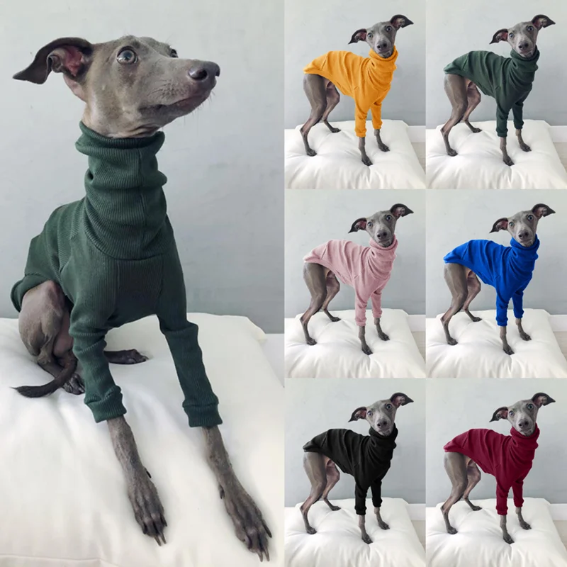 Winter Solid Color Designer High Neck Threaded Two-Legged Casual Pet Dog Clothes Simple Small Medium-Sized Dog Clothing Gift
Winter Solid Color Designer High Neck Threaded Two-Legged Casual Pet Dog Clothes Simple Small Medium-Sized Dog Clothing Gift