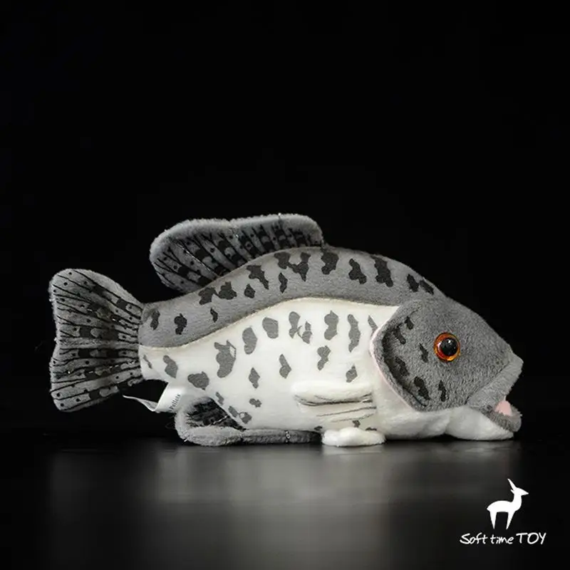Rare Plush South American Pomfret Toy Stuffed Real Life Sunfish Dolls Children Gifts Store
Rare Plush South American Pomfret Toy Stuffed Real Life Sunfish Dolls Children Gifts Store